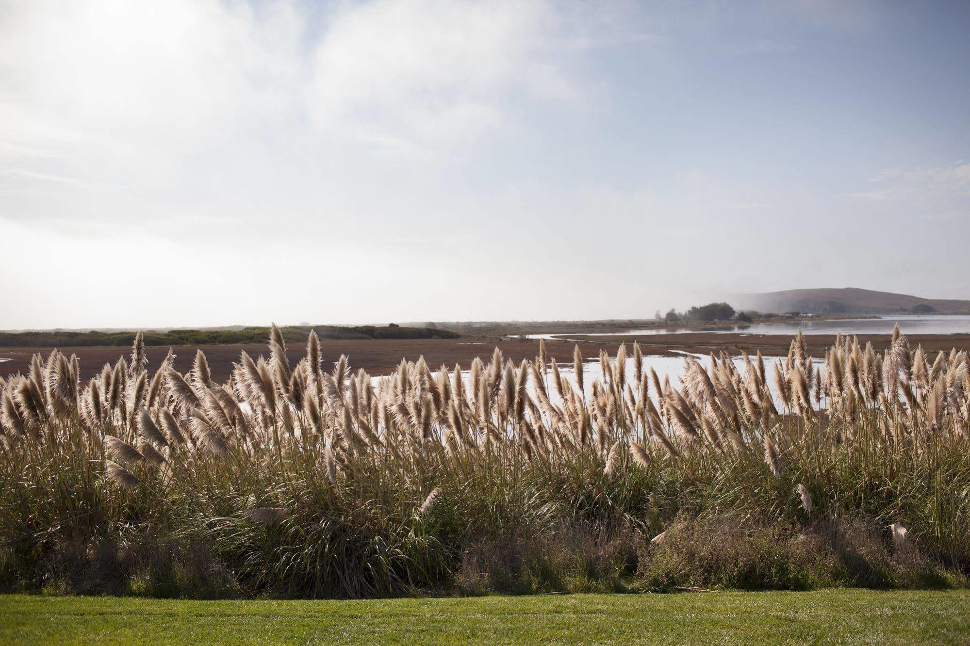 The Lodge At Bodega Bay Exterior photo